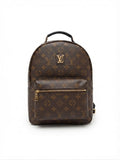 Louis Vuitton Sırt Çantası Kahverengi